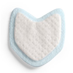 DRYDENT PAROTID SMALL 50 PACK