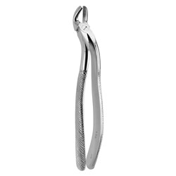 FORCEPS EXTRACTION  130 UPPER WISDOMS