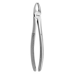 FORCEPS EXTRACTION 2 ENG PATTERN UP LATERALS/ CANINES
