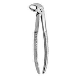 FORCEPS EXTRACTION 33 LOWER ROOTS