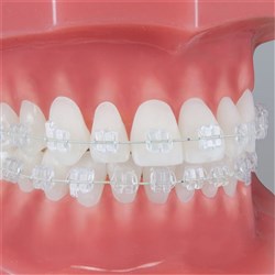 Pure MBT 35L hook Torq-17 Ang +2 Width .126 Inch