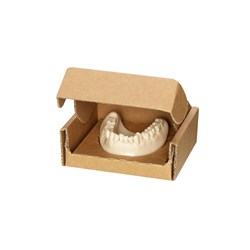 DENTAL MODEL 3D PRINTED