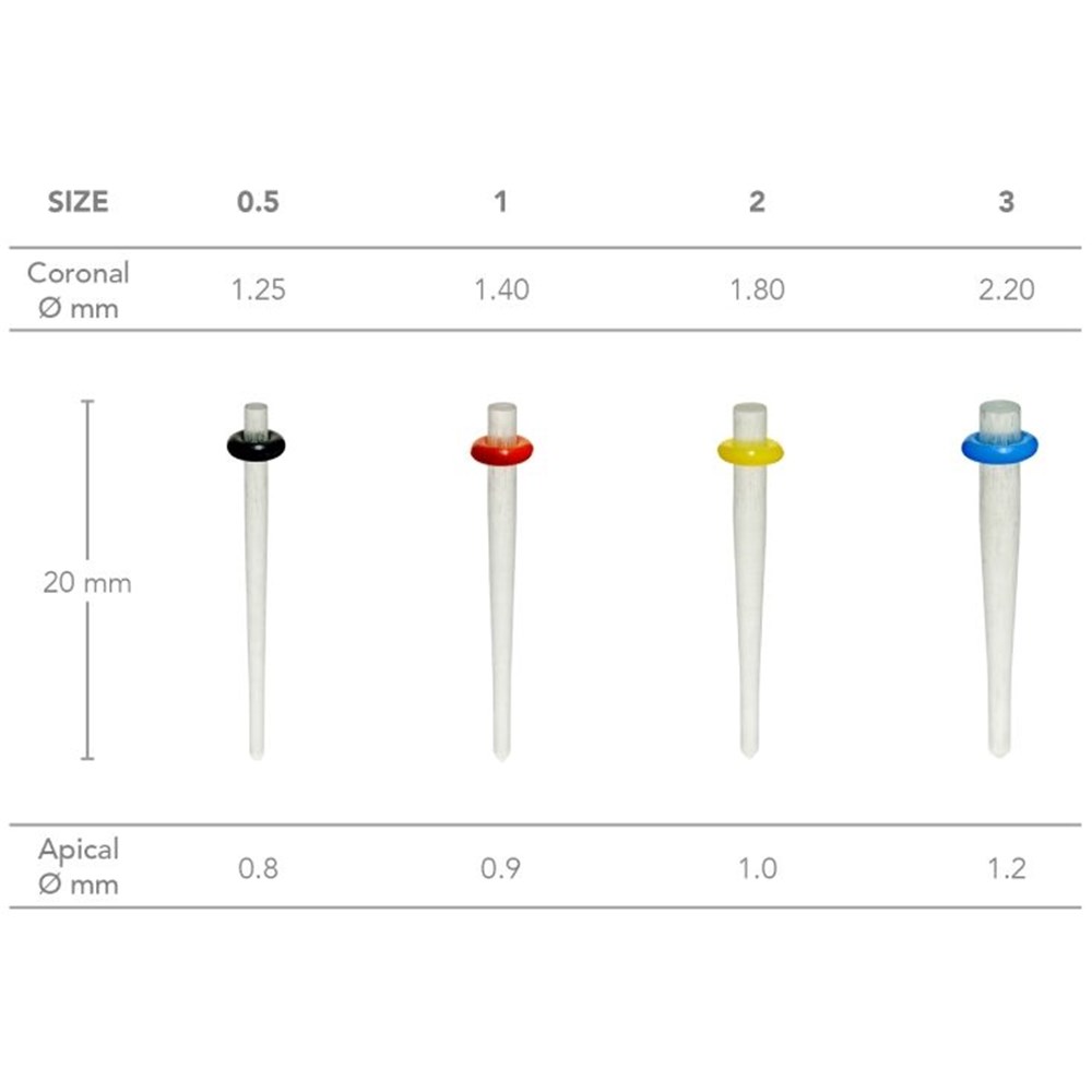 D.T. LIGHT-POST  Size 3 Endo Post 10 Pk